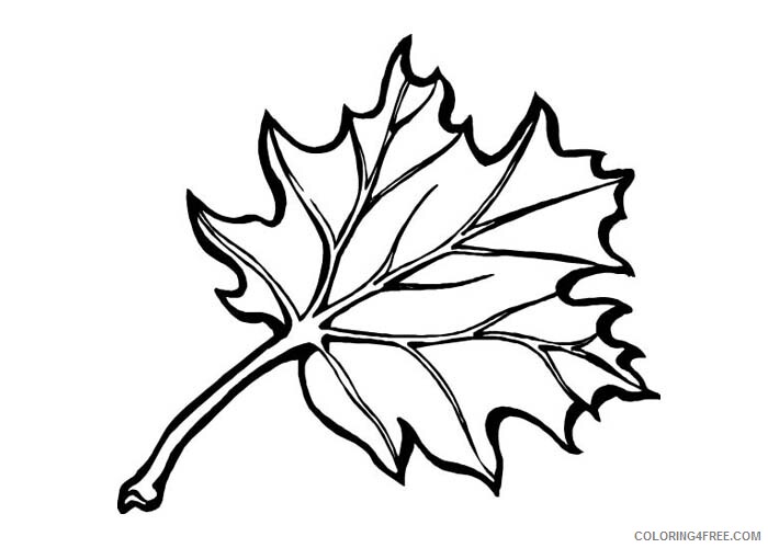 Leaves Coloring Pages Nature Leaves 2 Printable 2021 364 Coloring4free