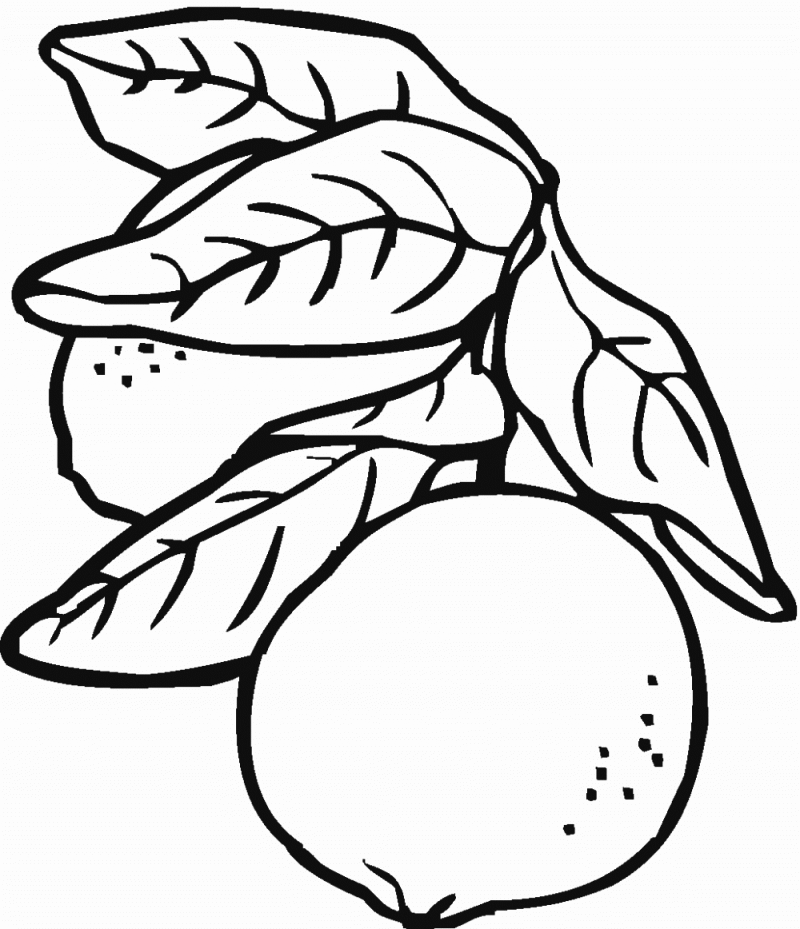 Lemon Coloring Pages Fruits Food Lemons Printable 2021 245 Coloring4free