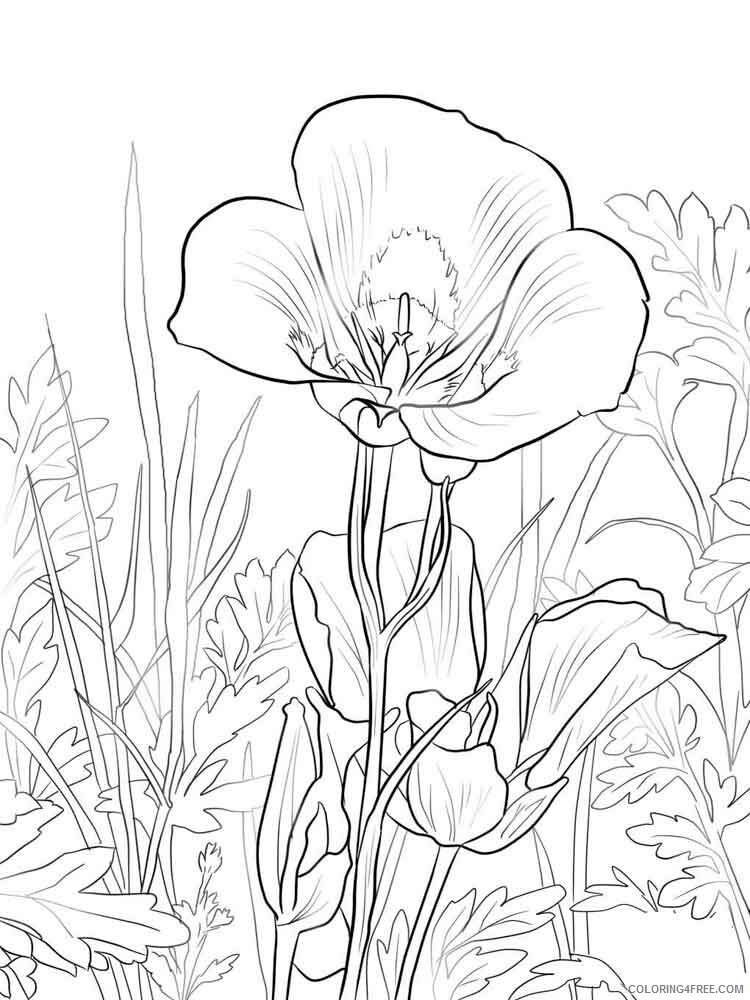 Lilies Coloring Pages Flowers Nature Lilies flower 12 Printable 2021 231 Coloring4free