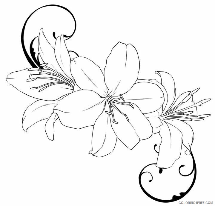 Lily Coloring Pages Flowers Nature Lily Printable 2021 244 Coloring4free