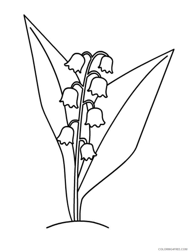 Lily of the Valley Coloring Pages Flowers Nature Printable 2021 249 Coloring4free