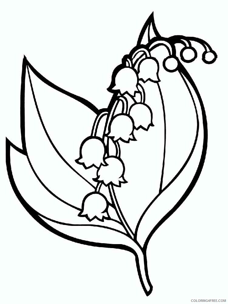 Lily of the Valley Coloring Pages Flowers Nature Printable 2021 251 Coloring4free
