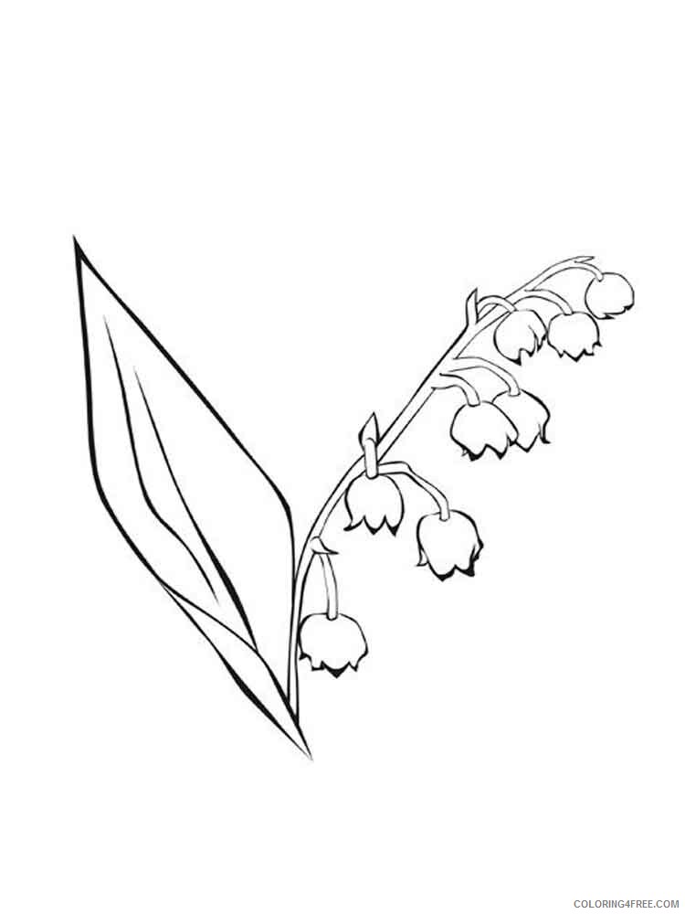 Lily of the Valley Coloring Pages Flowers Nature Printable 2021 252 Coloring4free