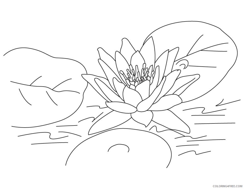 Lotus Flower Coloring Pages Flowers Nature Lotus Flower Pictures Printable 2021 Coloring4free
