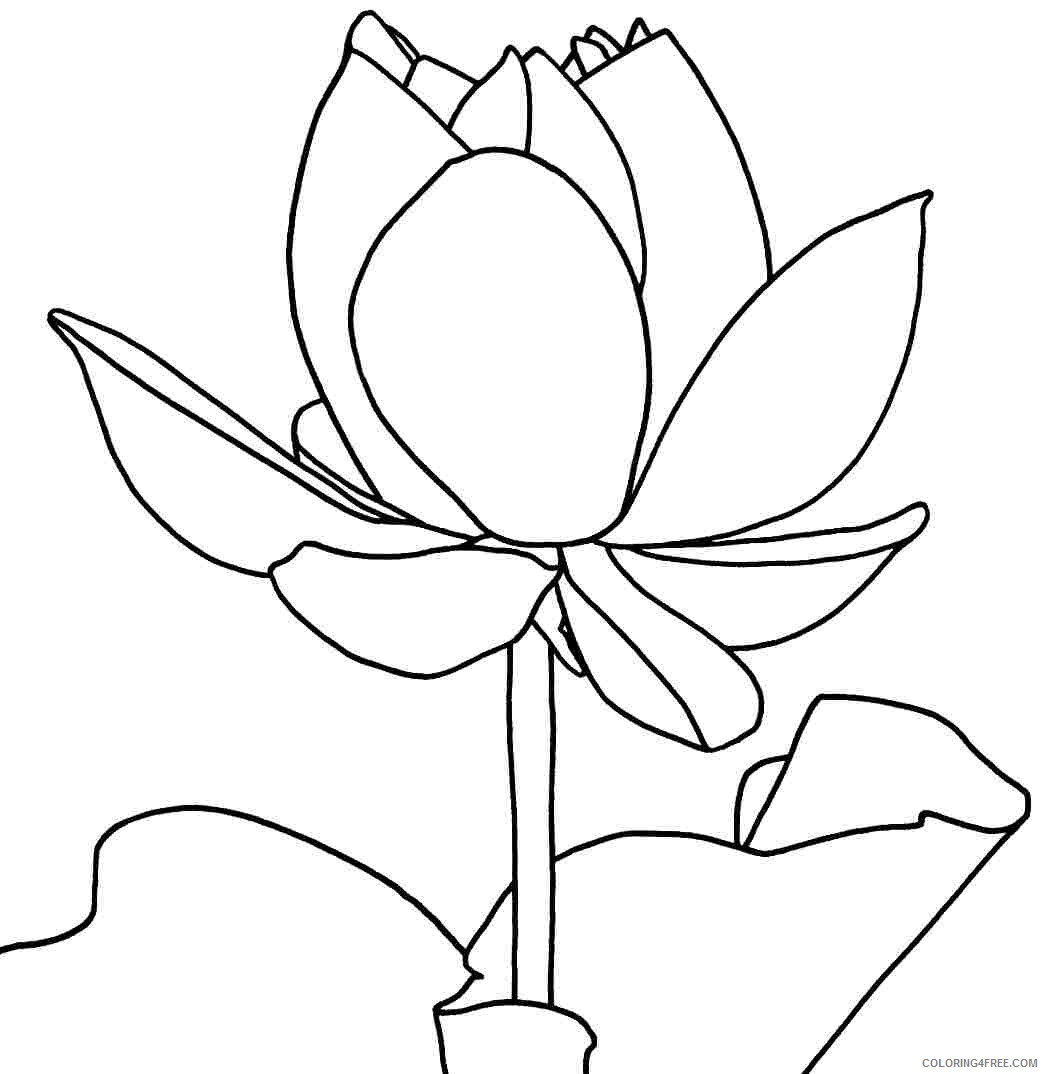 Lotus Flower Coloring Pages Flowers Nature Lotus Flower Printable 2021 255 Coloring4free