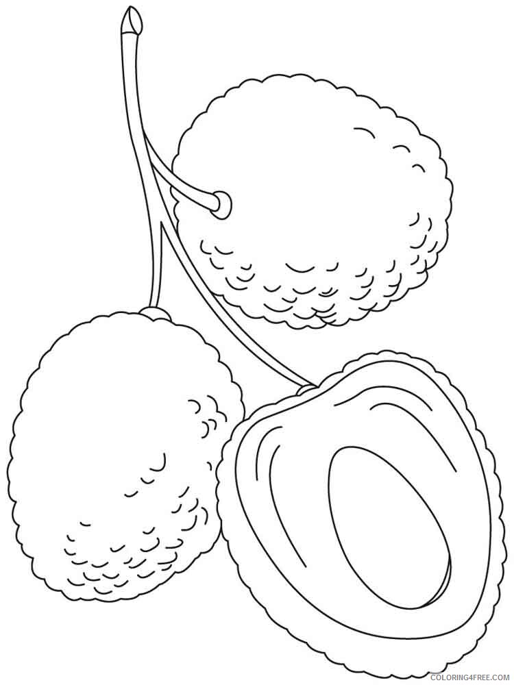 Lychee Coloring Pages Fruits Food Lychee fruits 6 Printable 2021 249 Coloring4free