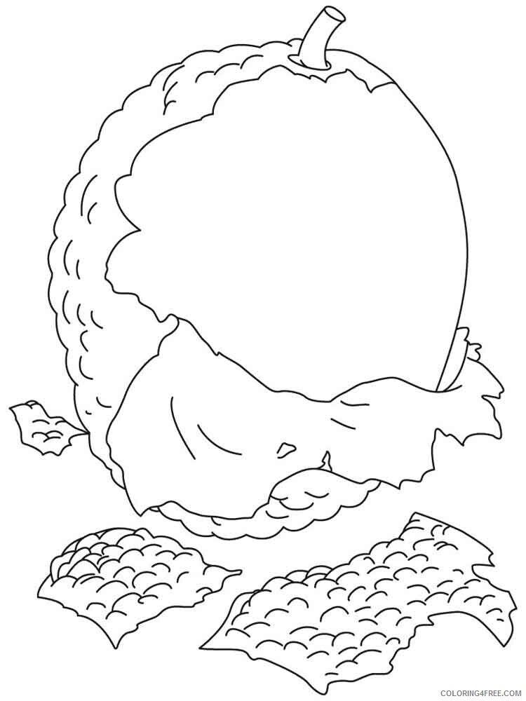 Lychee Coloring Pages Fruits Food Lychee fruits 7 Printable 2021 250 Coloring4free
