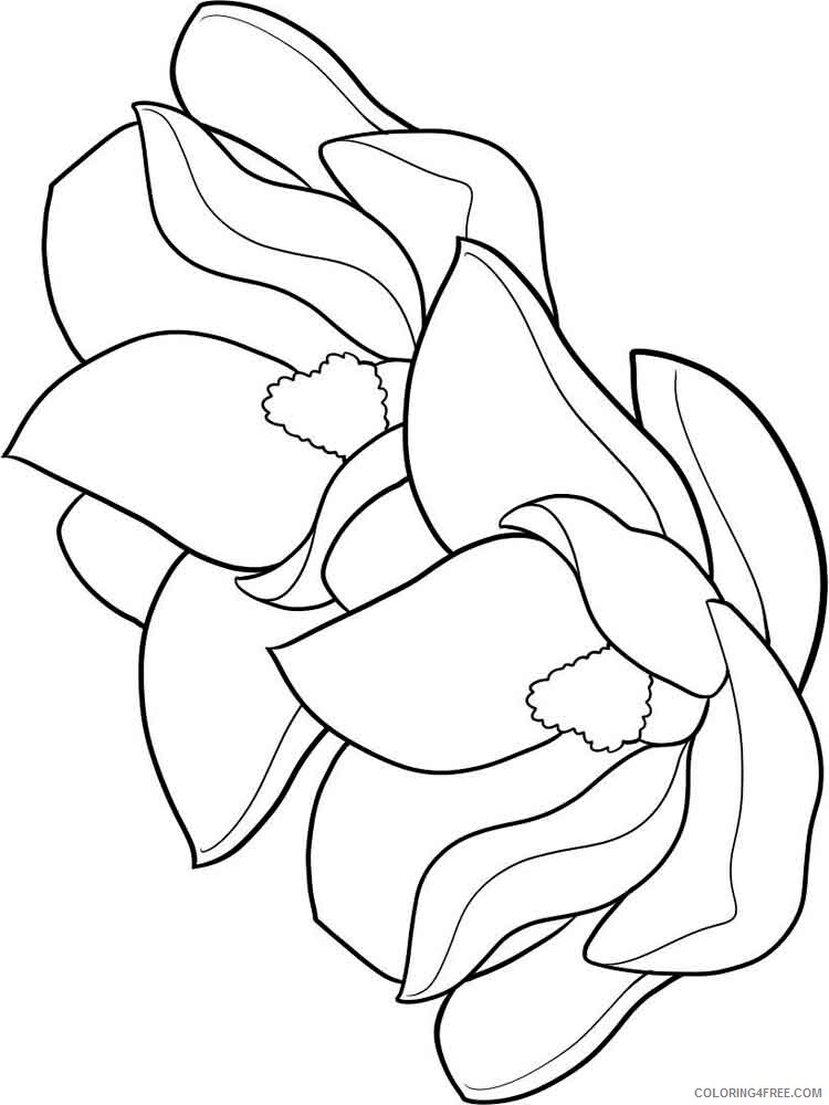 Magnolia Coloring Pages Flowers Nature Magnolia flower 3 Printable 2021 259 Coloring4free