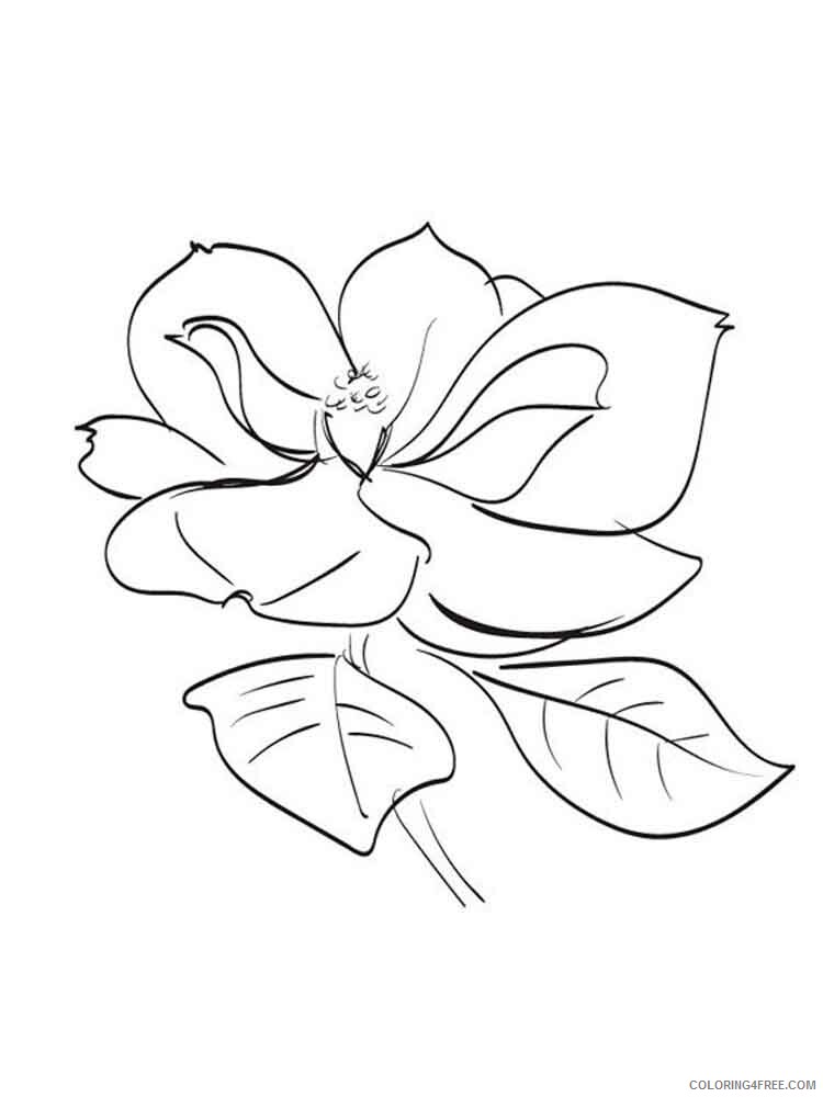 Magnolia Coloring Pages Flowers Nature Magnolia flower 5 Printable 2021 261 Coloring4free