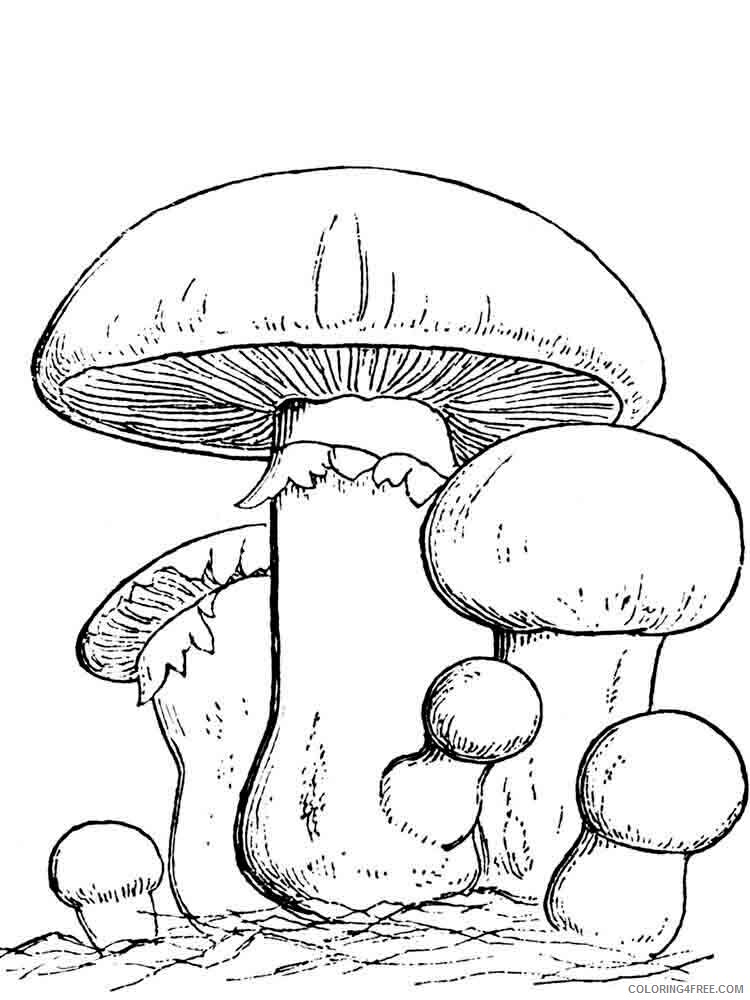 Mushrooms Coloring Pages Nature mushrooms 23 Printable 2021 408 Coloring4free