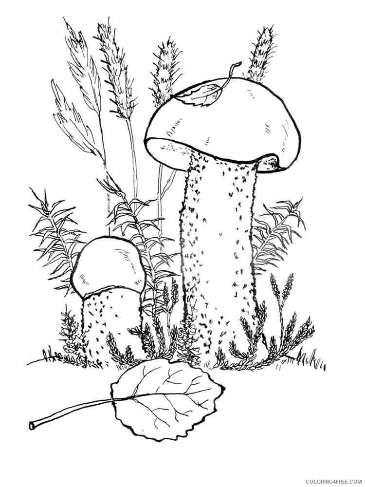 Mushrooms Coloring Pages Nature mushrooms 25 Printable 2021 410 Coloring4free