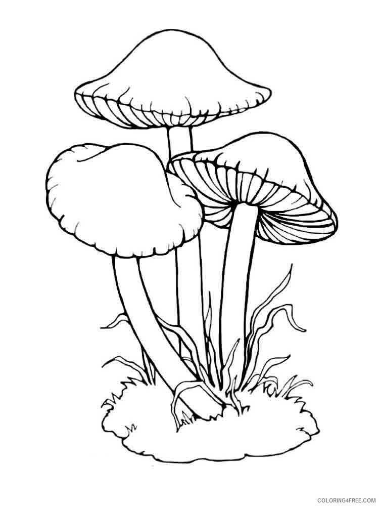 Mushrooms Coloring Pages Nature mushrooms 27 Printable 2021 412 Coloring4free