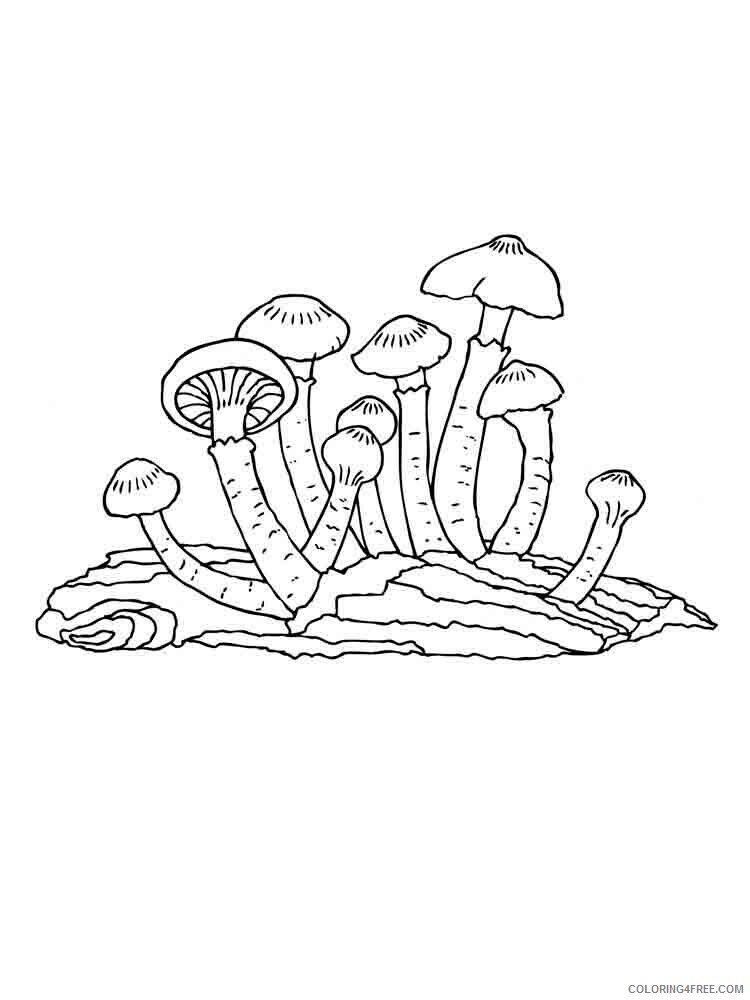 Mushrooms Coloring Pages Nature mushrooms 35 Printable 2021 419 Coloring4free