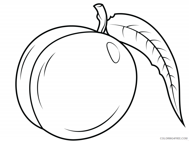 Nectarine Coloring Pages Fruits Food a nectarine Printable 2021 299 Coloring4free