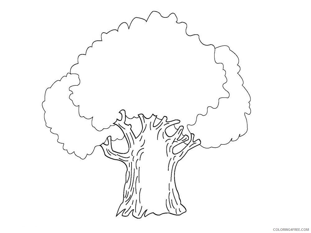Oak Tree Coloring Pages Tree Nature oak tree 10 Printable 2021 571 Coloring4free
