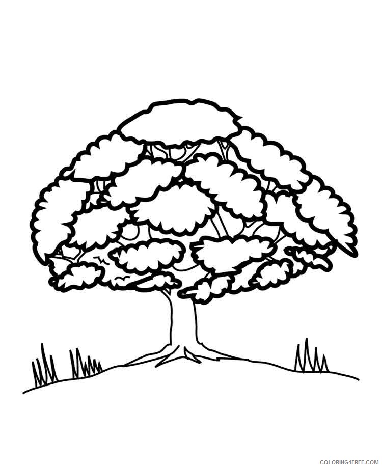 Oak Tree Coloring Pages Tree Nature oak tree 13 Printable 2021 572 Coloring4free
