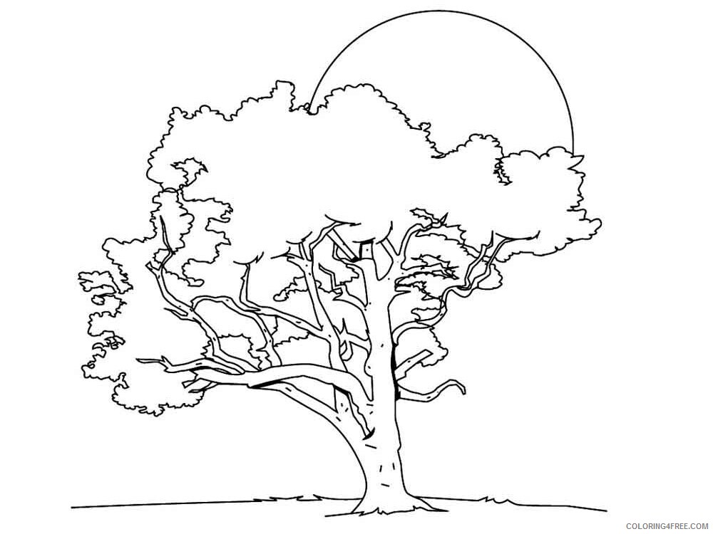 Oak Tree Coloring Pages Tree Nature oak tree 14 Printable 2021 573 Coloring4free