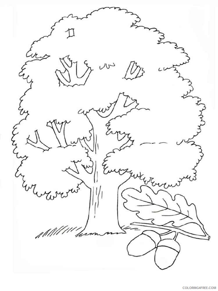 Oak Tree Coloring Pages Tree Nature oak tree 4 Printable 2021 575 Coloring4free