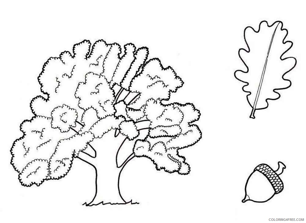 Oak Tree Coloring Pages Tree Nature oak tree 5 Printable 2021 576 Coloring4free