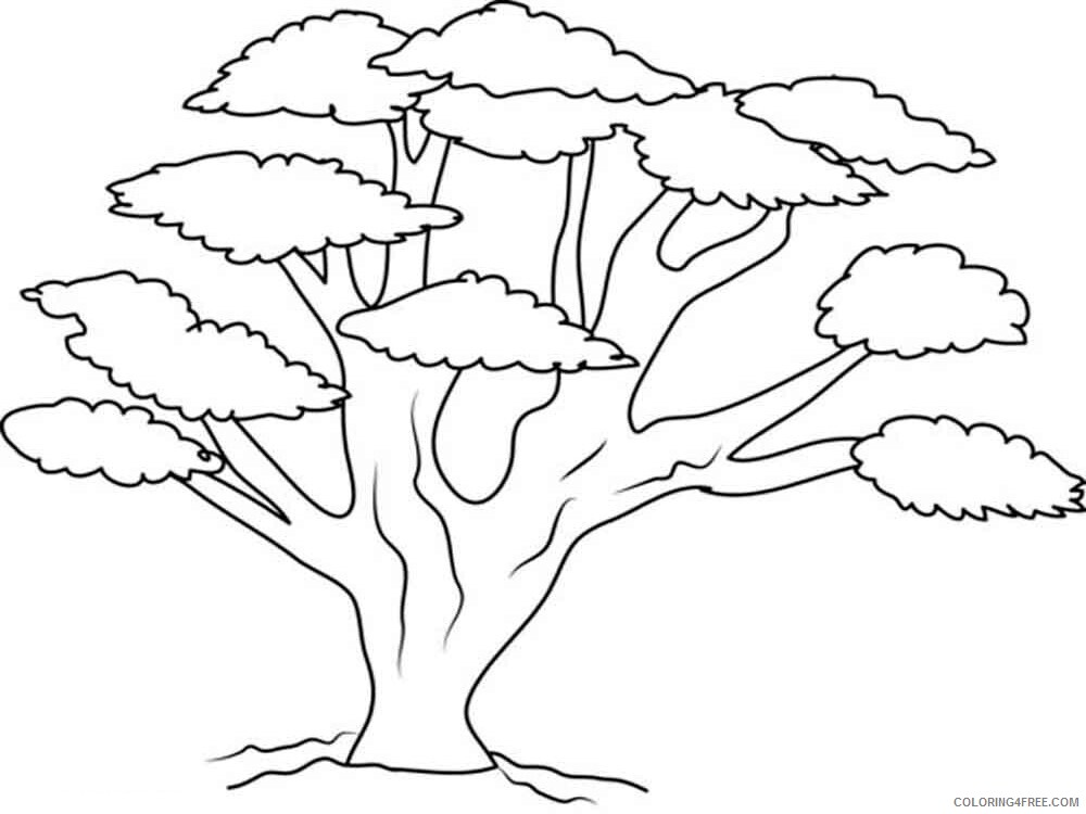 Oak Tree Coloring Pages Tree Nature oak tree 9 Printable 2021 578 Coloring4free