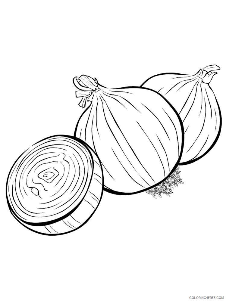 Onion Coloring Pages Vegetables Food Vegetables Onion 10 Printable 2021 616 Coloring4free