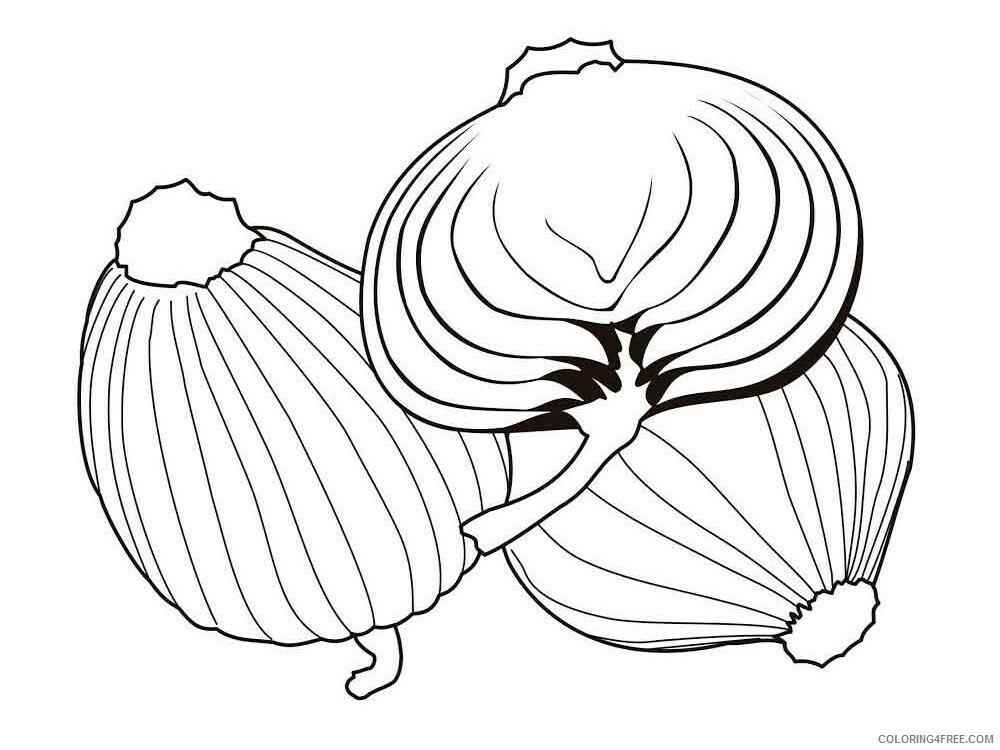 Onion Coloring Pages Vegetables Food Vegetables Onion 12 Printable 2021 618 Coloring4free
