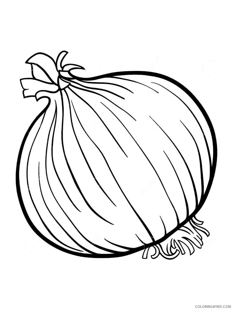 Onion Coloring Pages Vegetables Food Vegetables Onion 5 Printable 2021 620 Coloring4free