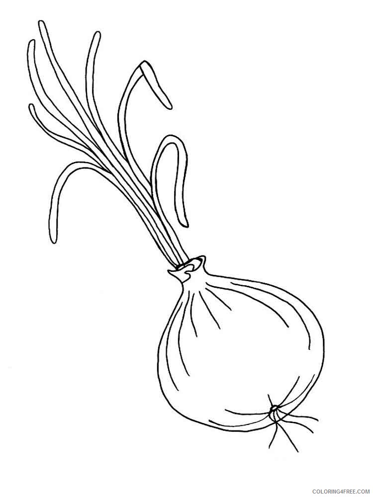 Onion Coloring Pages Vegetables Food Vegetables Onion 7 Printable 2021 621 Coloring4free