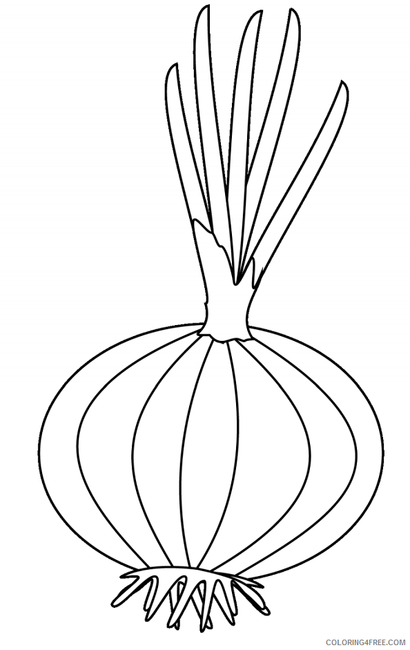 Onion Coloring Pages Vegetables Food onion Printable 2021 611 Coloring4free