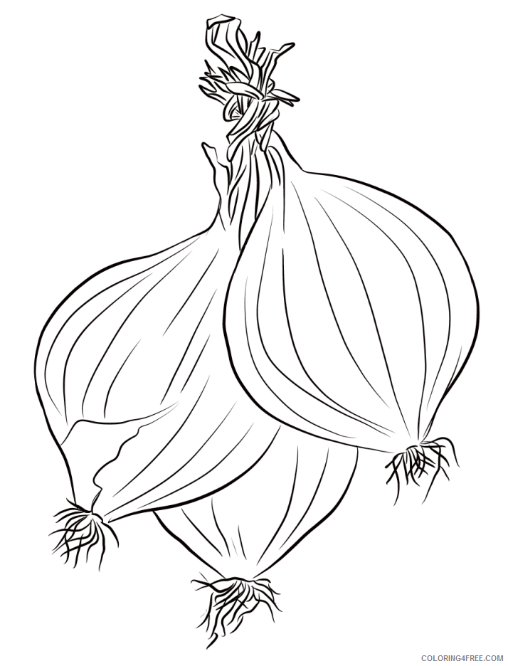 Onion Coloring Pages Vegetables Food onions a4 Printable 2021 612 Coloring4free
