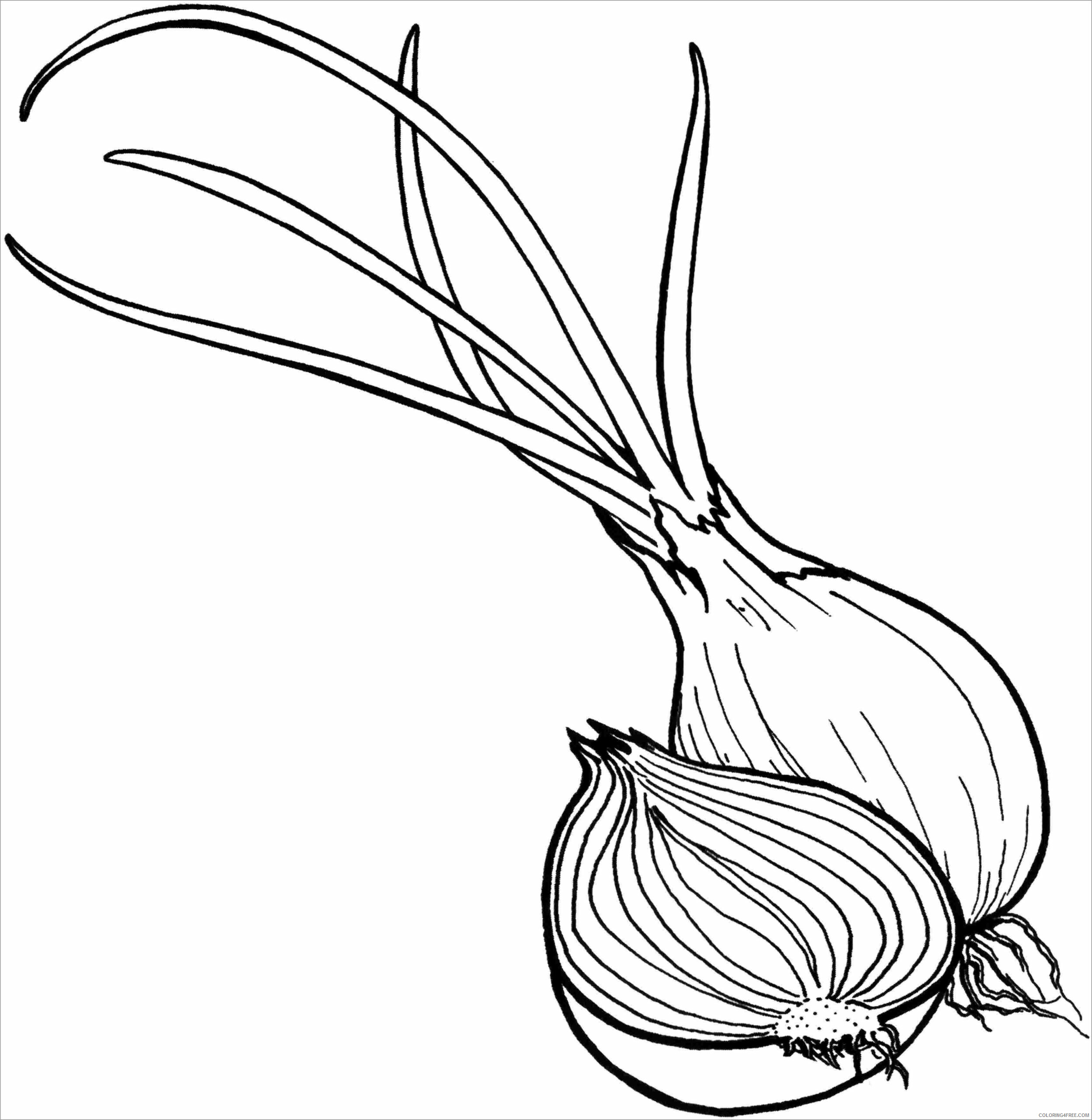 Onion Coloring Pages Vegetables Food sliced onions for kids Printable 2021 615 Coloring4free
