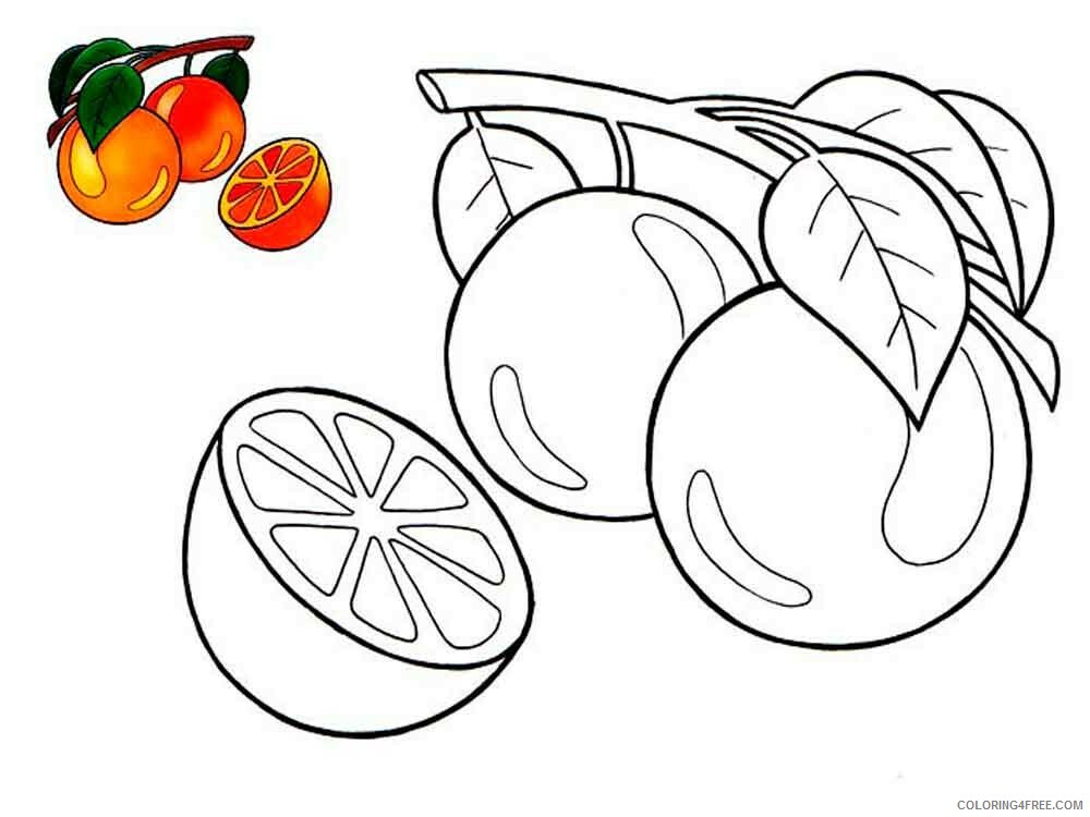Orange Coloring Pages Fruits Food Orange fruits 2 Printable 2021 307 Coloring4free