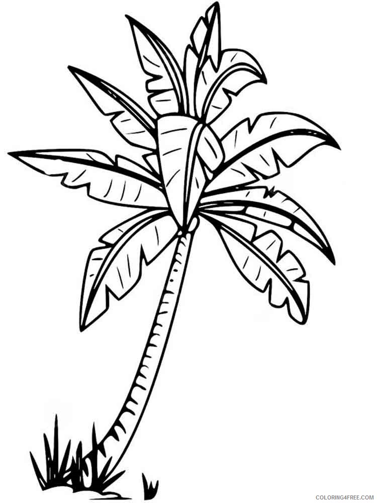 Palm Tree Coloring Pages Tree Nature palm tree 1 Printable 2021 579 Coloring4free