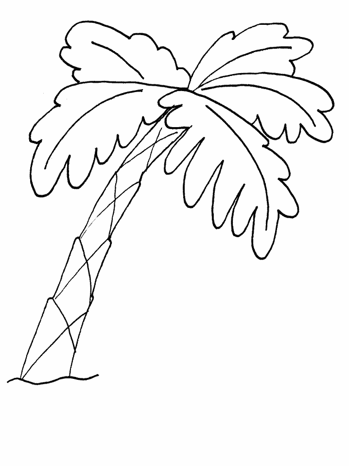 Palm Tree Coloring Pages Tree Nature tree7 Printable 2021 585 Coloring4free