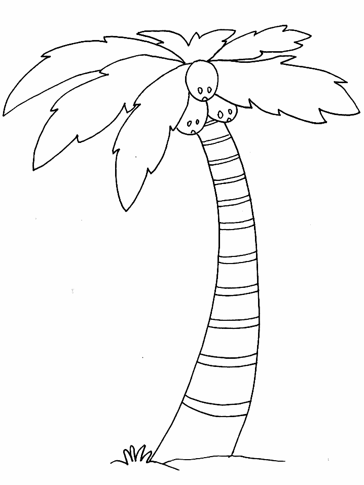 Palm Tree Coloring Pages Tree Nature tree9 Printable 2021 586 Coloring4free