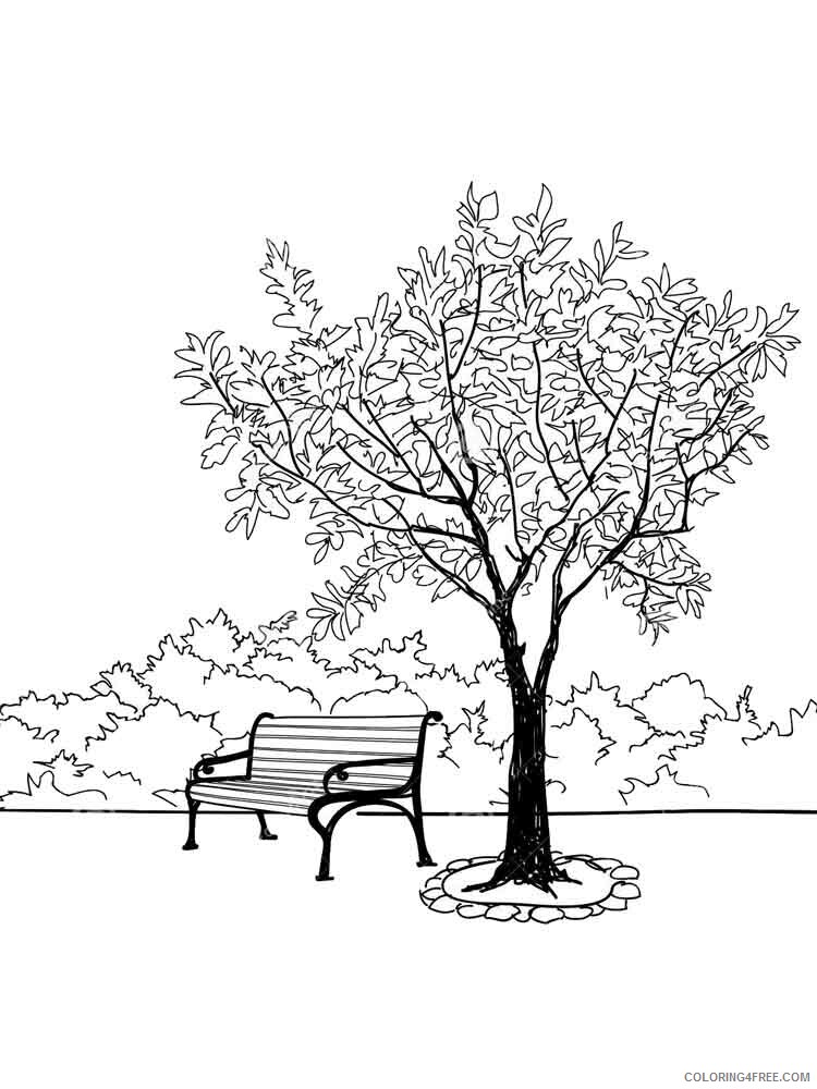 Park Coloring Pages Nature park 4 Printable 2021 426 Coloring4free