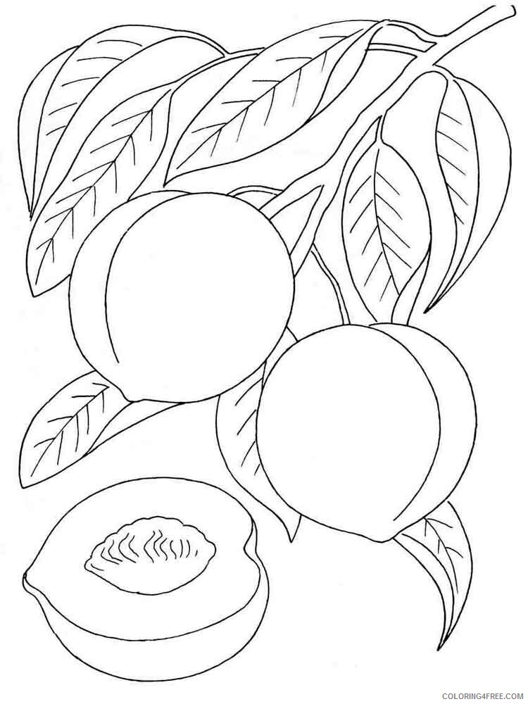 Peach Coloring Pages Fruits Food Peach fruits 2 Printable 2021 325 Coloring4free