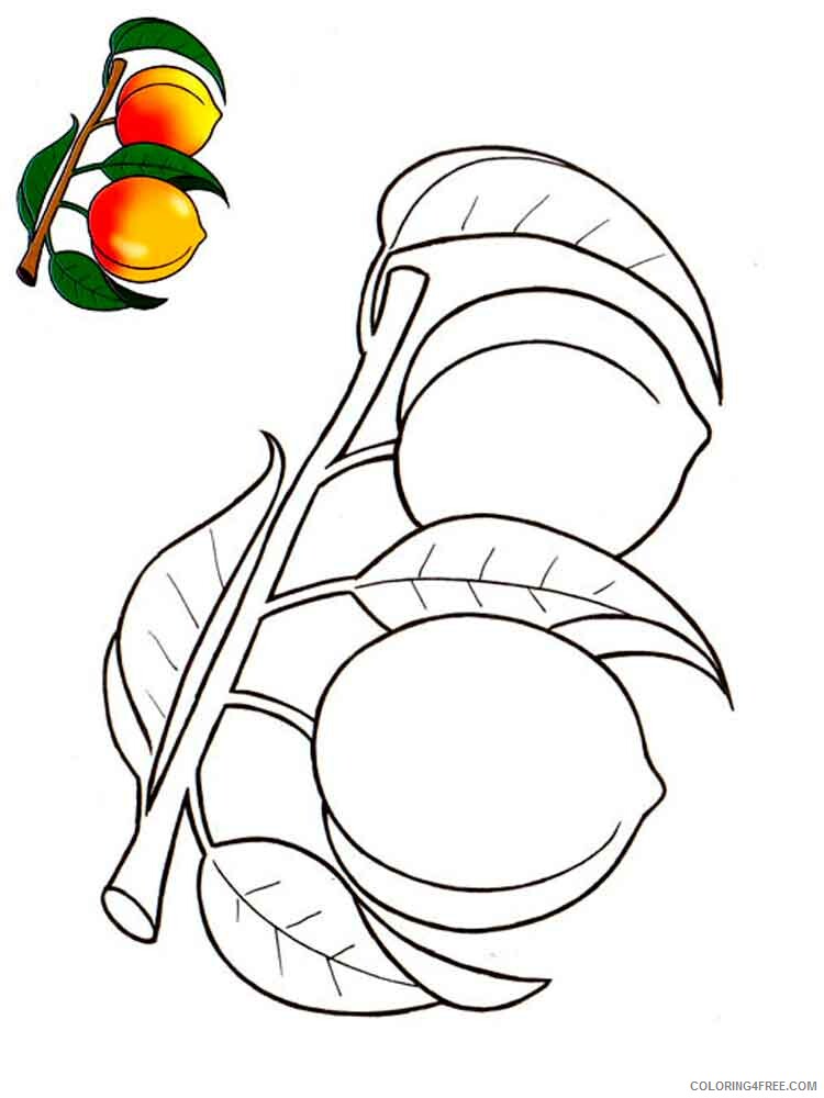 Peach Coloring Pages Fruits Food Peach fruits 9 Printable 2021 327 Coloring4free