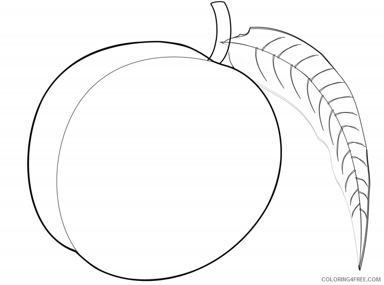 Peach Coloring Pages Fruits Food a peach Printable 2021 320 Coloring4free