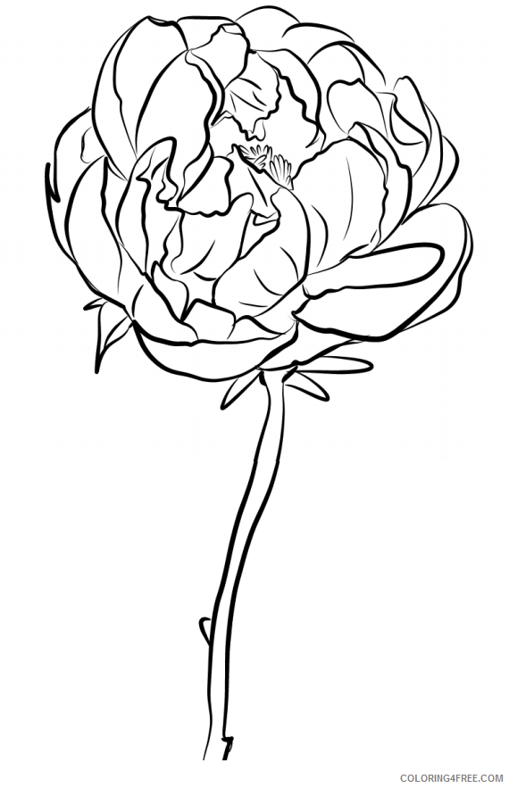 Peony Coloring Pages Flowers Nature 1559958612_a peony Printable 2021 287 Coloring4free