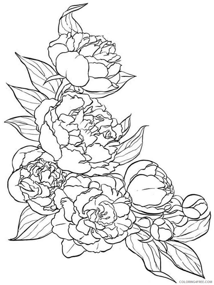 Peony Coloring Pages Flowers Nature Peony flower 1 Printable 2021 288 Coloring4free