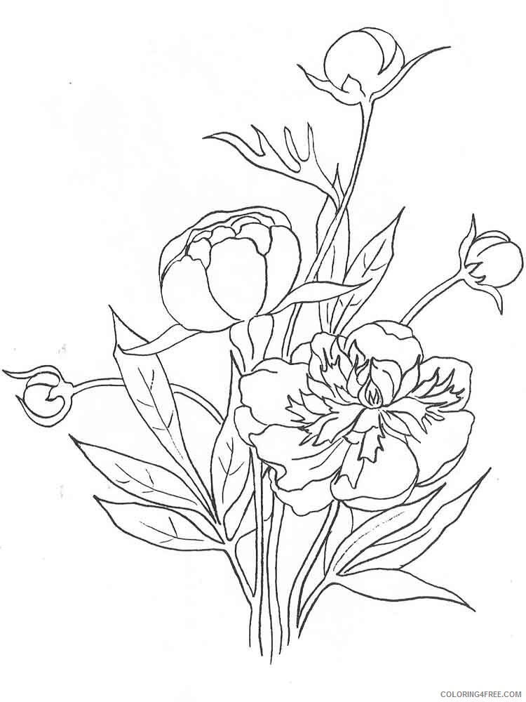 Peony Coloring Pages Flowers Nature Peony flower 10 Printable 2021 289 Coloring4free