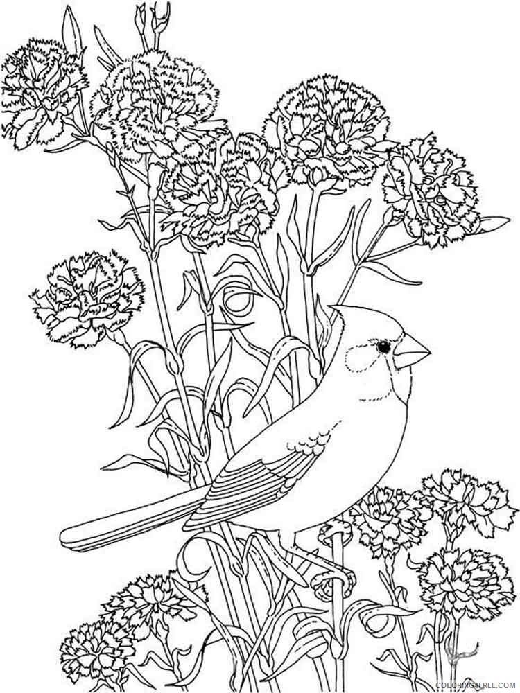 Peony Coloring Pages Flowers Nature Peony flower 13 Printable 2021 292 Coloring4free