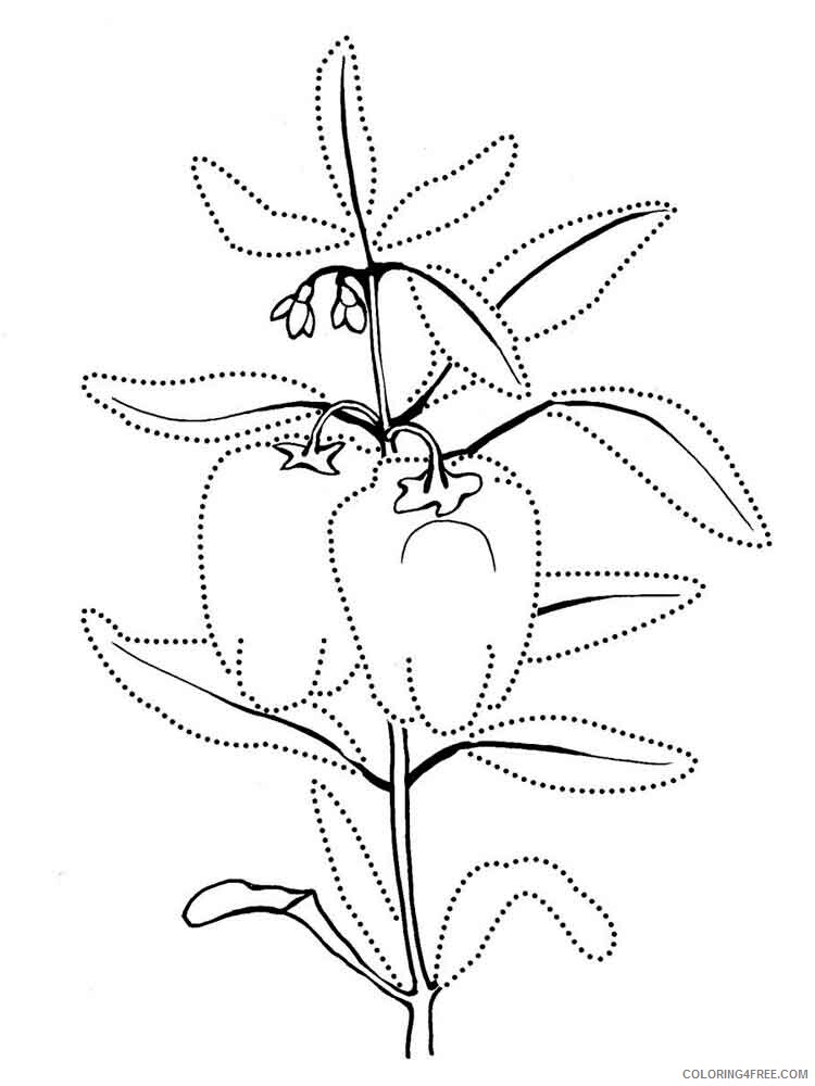 Pepper Coloring Pages Vegetables Food Vegetables Pepper 5 Printable 2021 643 Coloring4free