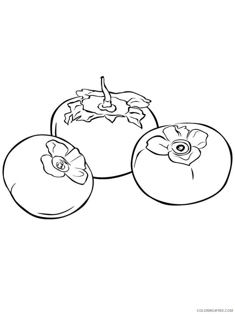 Persimmon Coloring Pages Fruits Food Persimmon fruits 1 Printable 2021 338 Coloring4free