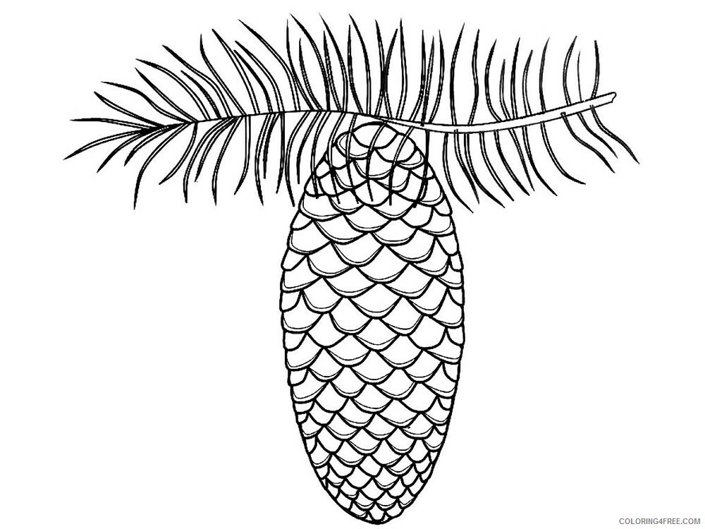 Pine Cone Coloring Pages Tree Nature Pine Cone 10 Printable 2021 590 Coloring4free