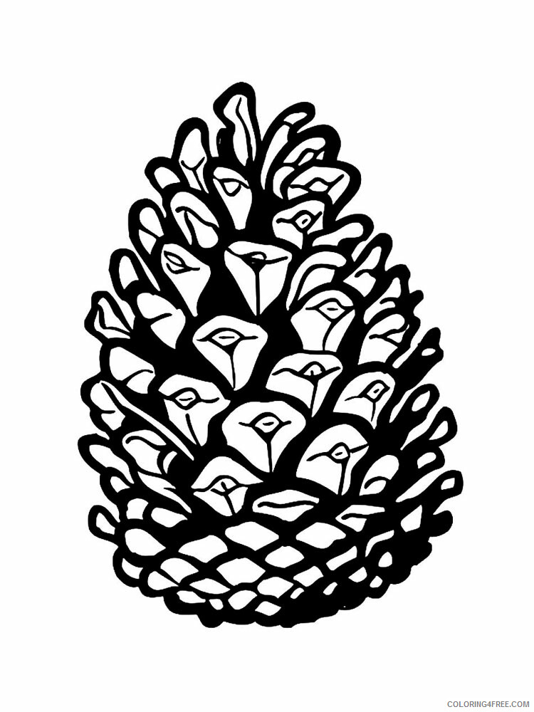 Pine Cone Coloring Pages Tree Nature Pine Cone 11 Printable 2021 591 Coloring4free