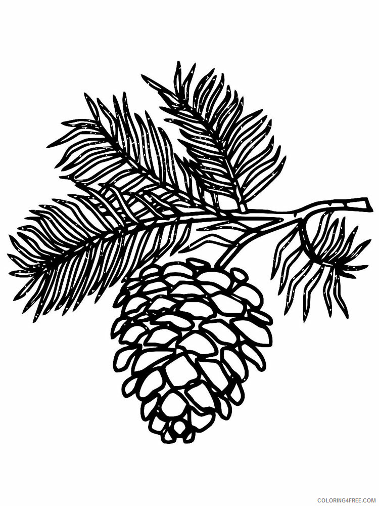 Pine Cone Coloring Pages Tree Nature Pine Cone 12 Printable 2021 592 Coloring4free