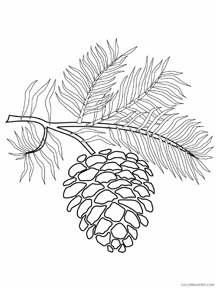 Pine Cone Coloring Pages Tree Nature Pine Cone 14 Printable 2021 594 Coloring4free