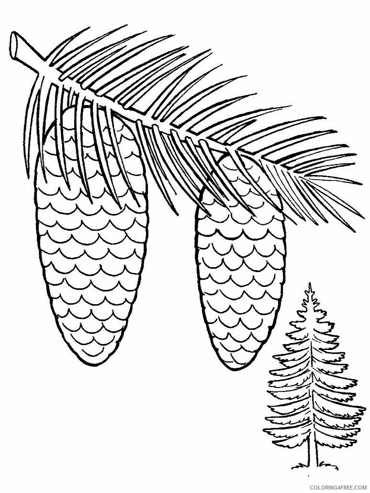 Pine Cone Coloring Pages Tree Nature Pine Cone 4 Printable 2021 596 Coloring4free